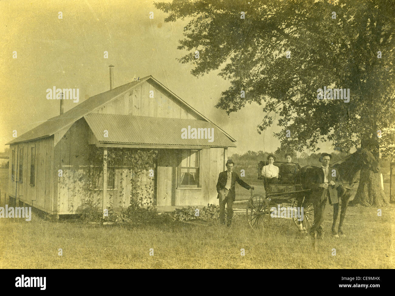 I coloni nella parte anteriore della casa in legno su homestead durante il tardo Ottocento con cavallo e carrozza Buggy Foto Stock