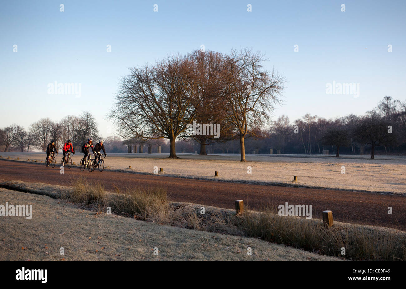 Ciclista in Richmond Park,UK Foto Stock