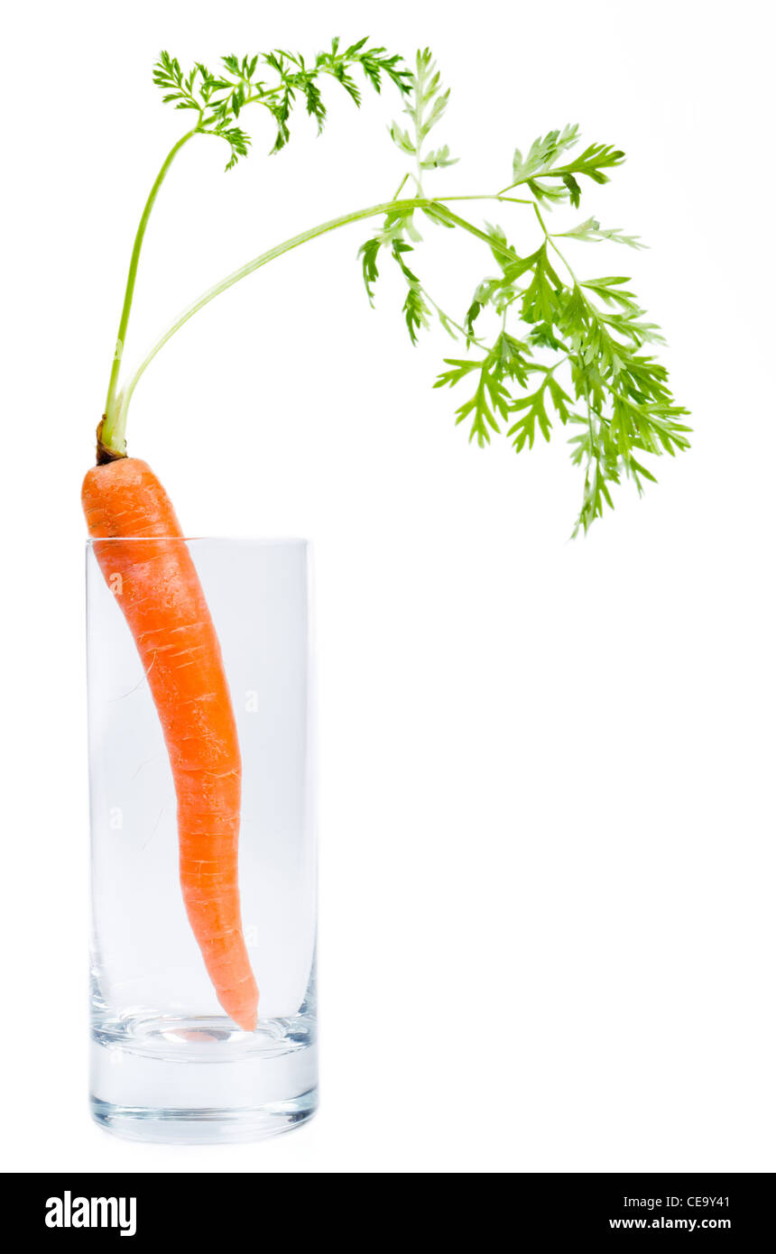 Una carota sorge in un bicchiere prima di sfondo bianco Foto Stock