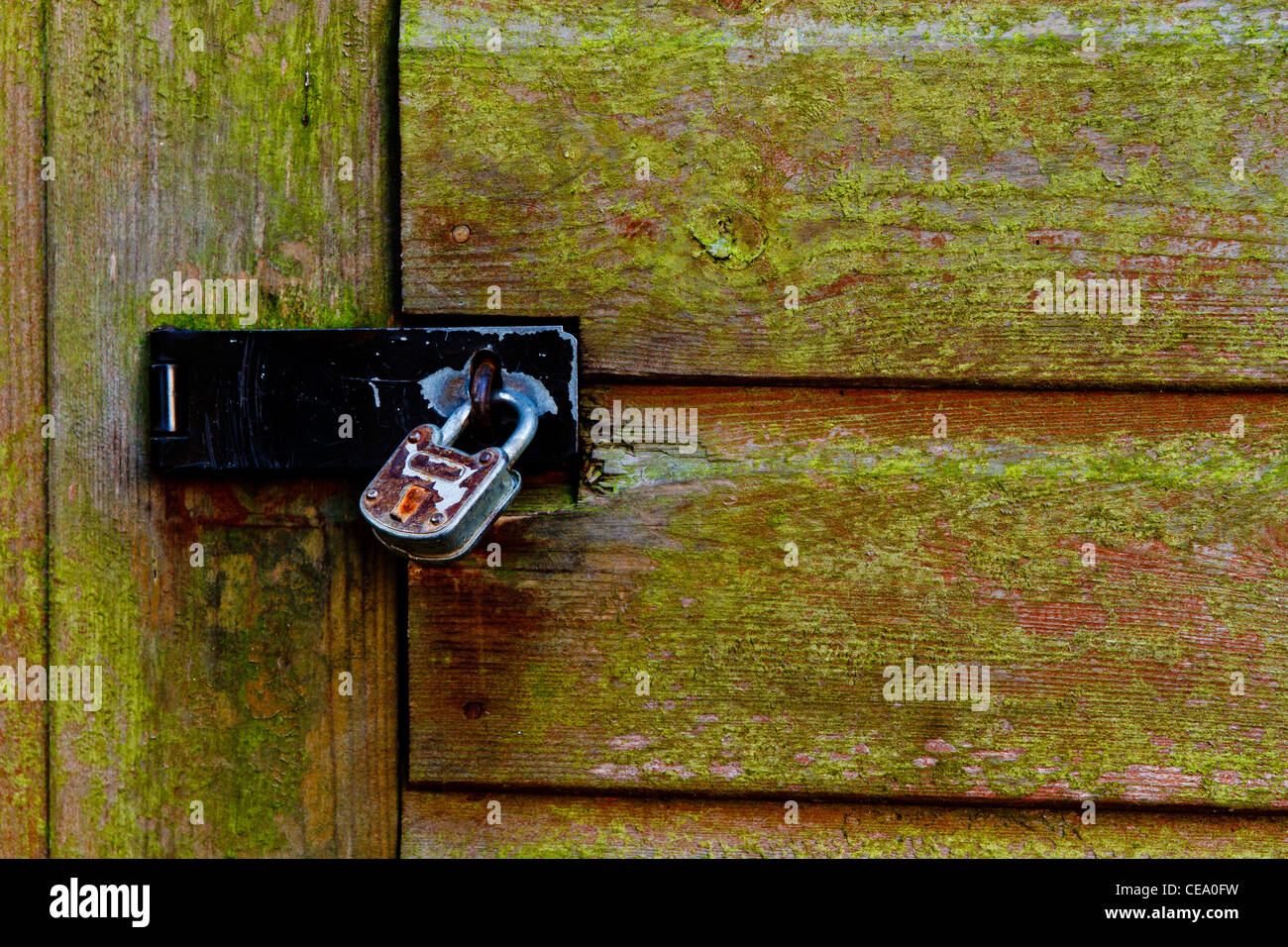 Sportello chiuso con lucchetto di una tettoia in legno Foto Stock