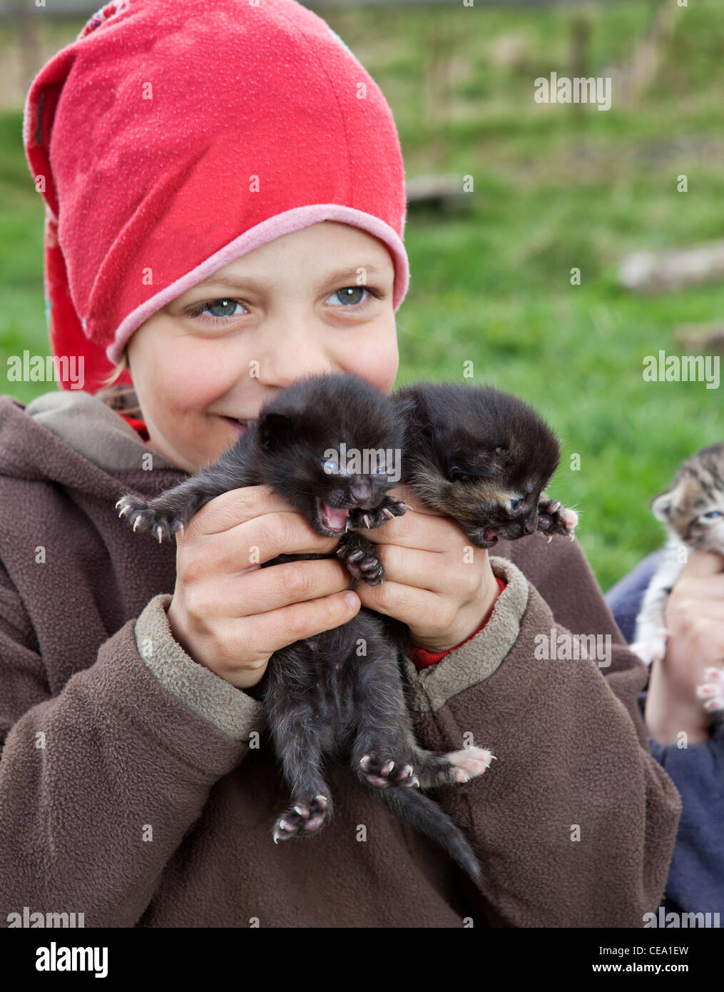 Ragazzo con giovani gattini su fattoria, Eyjafjordur, Islanda Foto Stock