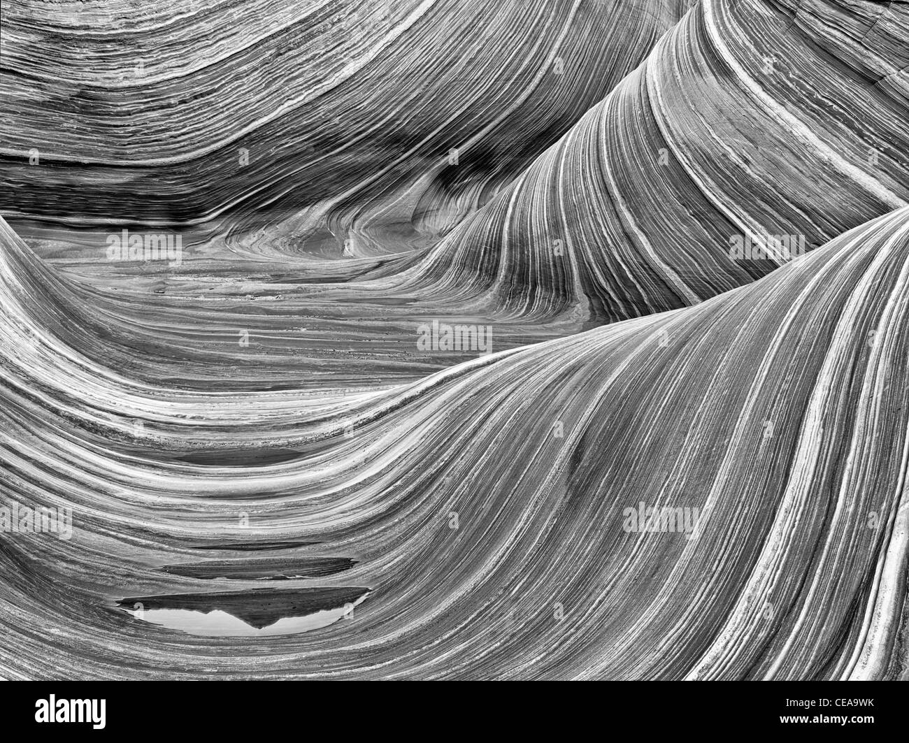 Formazione Sandtone e la piscina di acqua nel nord Coyote Buttes, l'onda. Paria Canyon Vermillion Cliffs Wilderness. Utah e Arizona Foto Stock