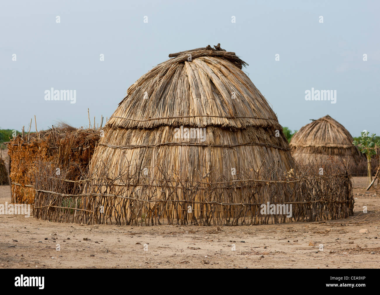 Arbore capanna di paglia di Etiopia Foto Stock