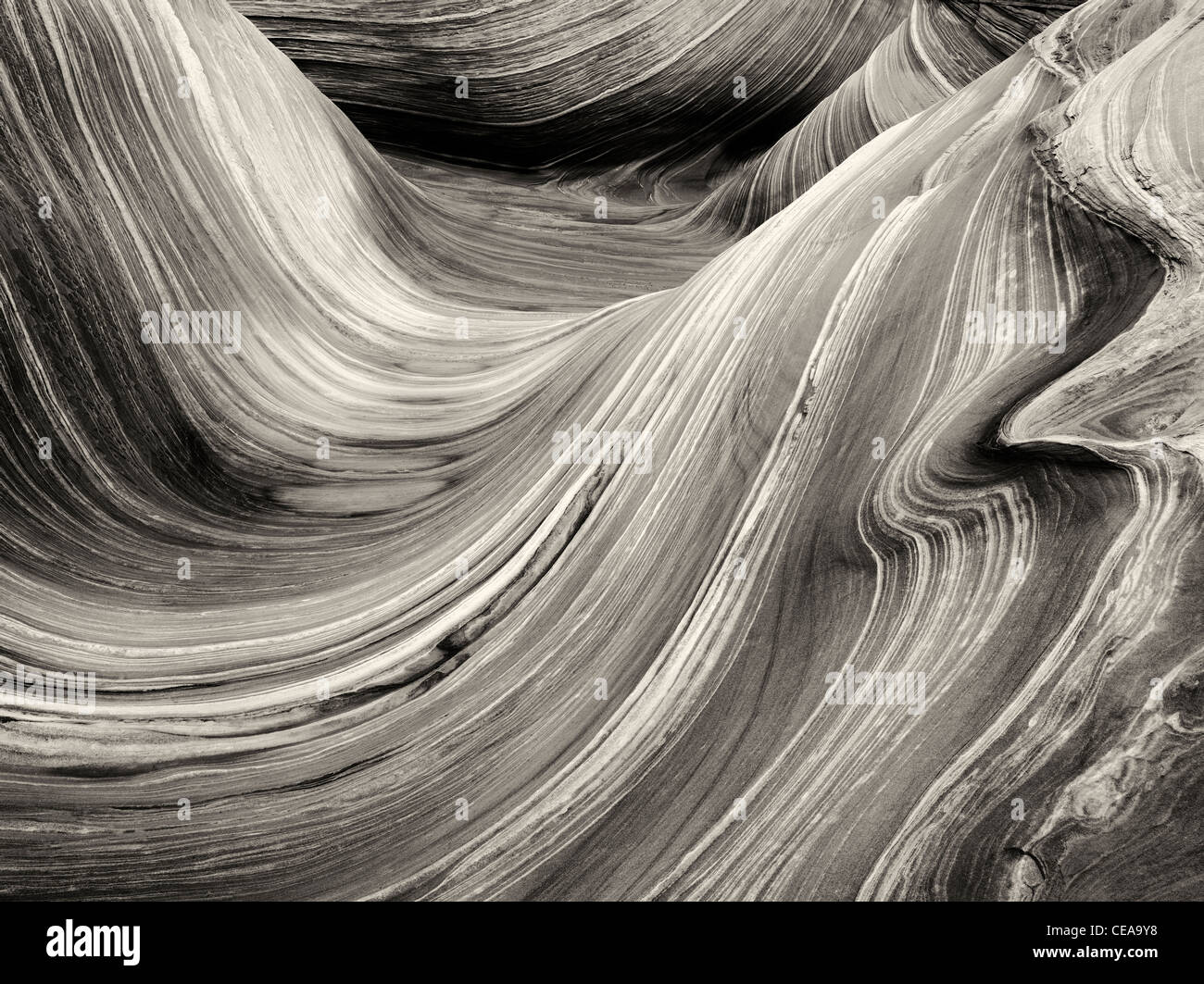 Formazione Sandtone in Nord Coyote Buttes, l'onda. Paria Canyon Vermillion Cliffs Wilderness. Utah e Arizona Foto Stock