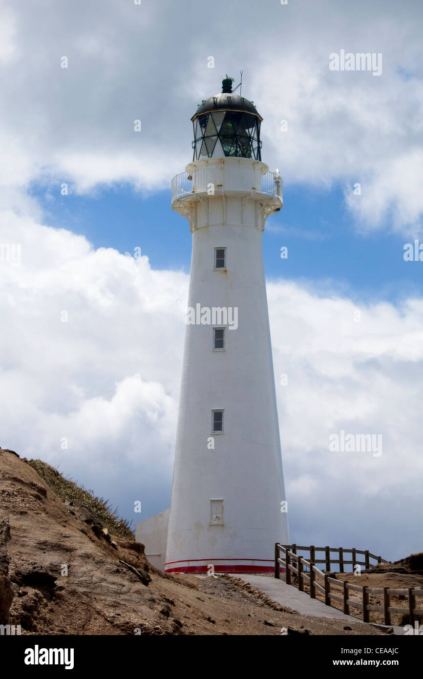 Castlepoint faro sulla costa rocciosa di Nuova Zelanda Foto Stock