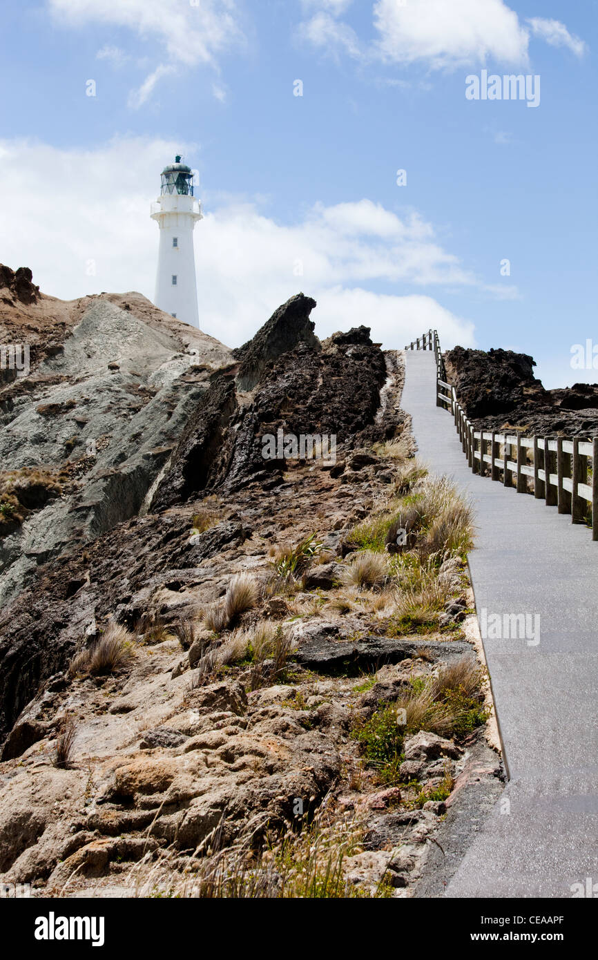 Castlepoint faro sulla costa rocciosa di Nuova Zelanda Foto Stock