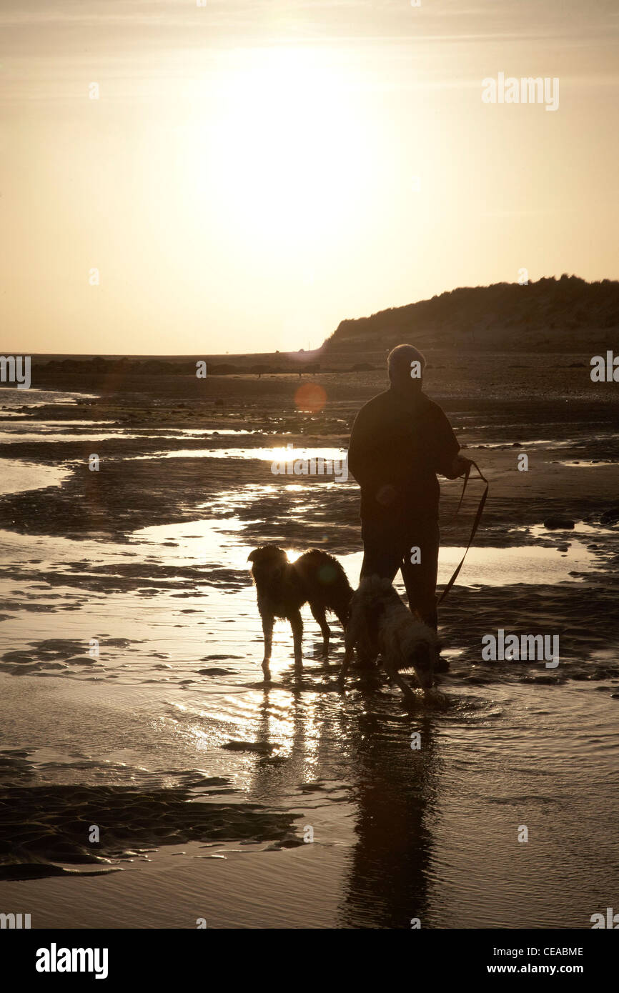 Pochi cani su una spiaggia a Blaenau Ffestiniog Foto Stock