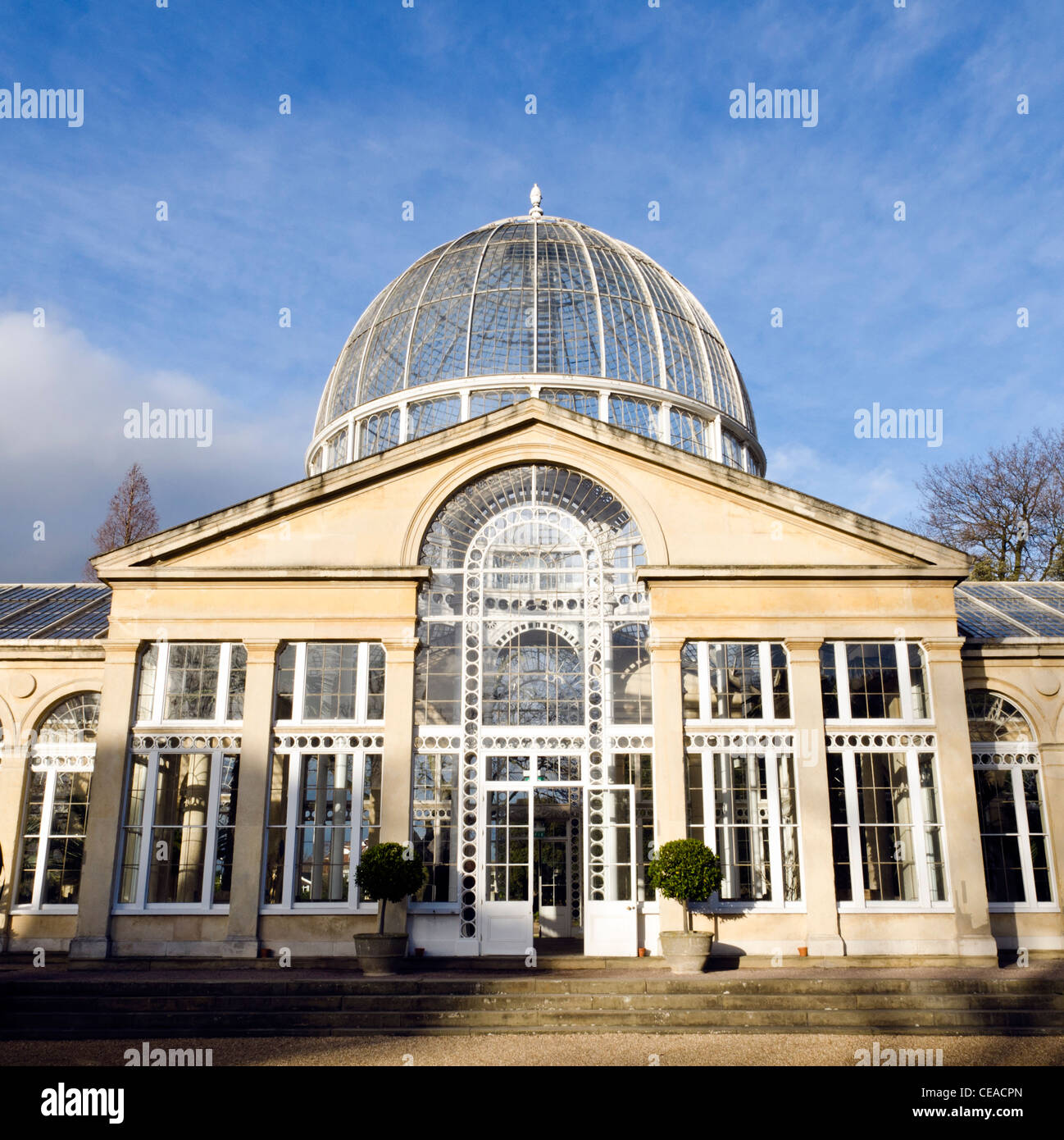 Conservatorio Syon House Isleworth Middlesex Inghilterra Gran Bretagna REGNO UNITO Foto Stock