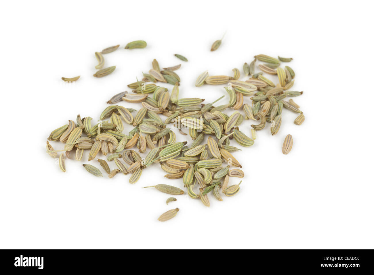 Il timo, timo, semi su sfondo bianco Foto Stock