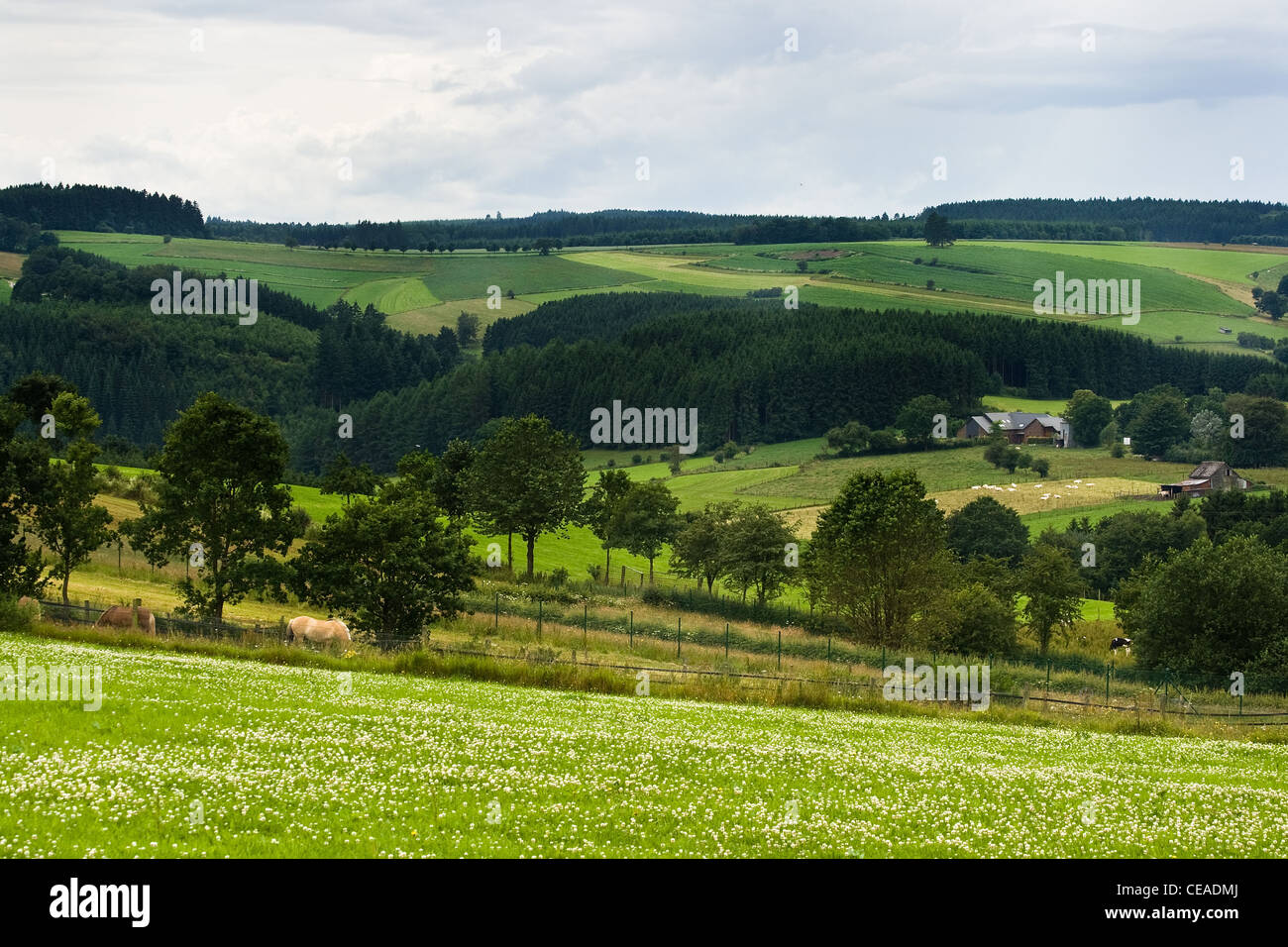 Il paesaggio agricolo con prati e colline e fattorie sul nuvoloso summerday Foto Stock