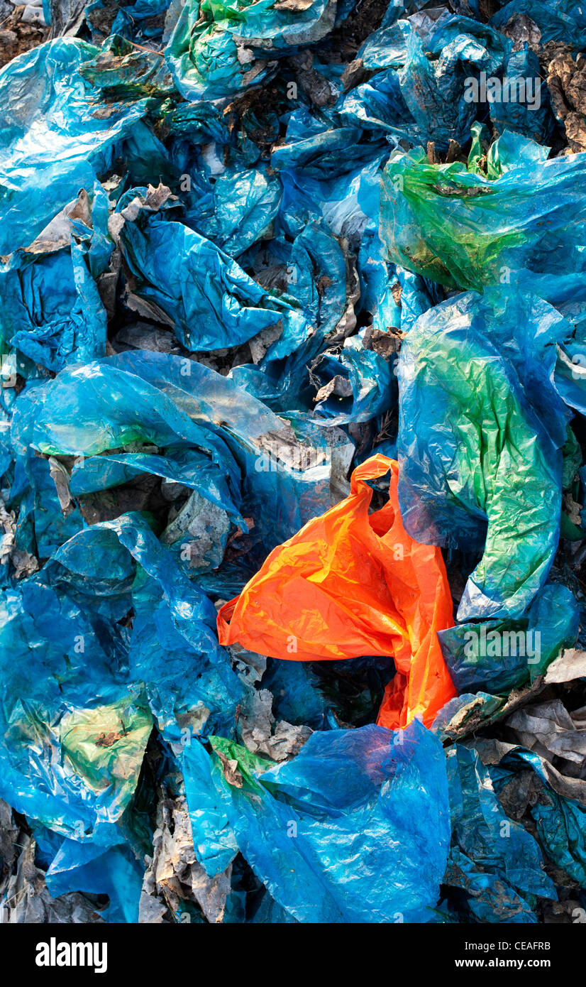 Famiglia di sacchetti di plastica gettati nella campagna indiana. Andhra Pradesh, India Foto Stock