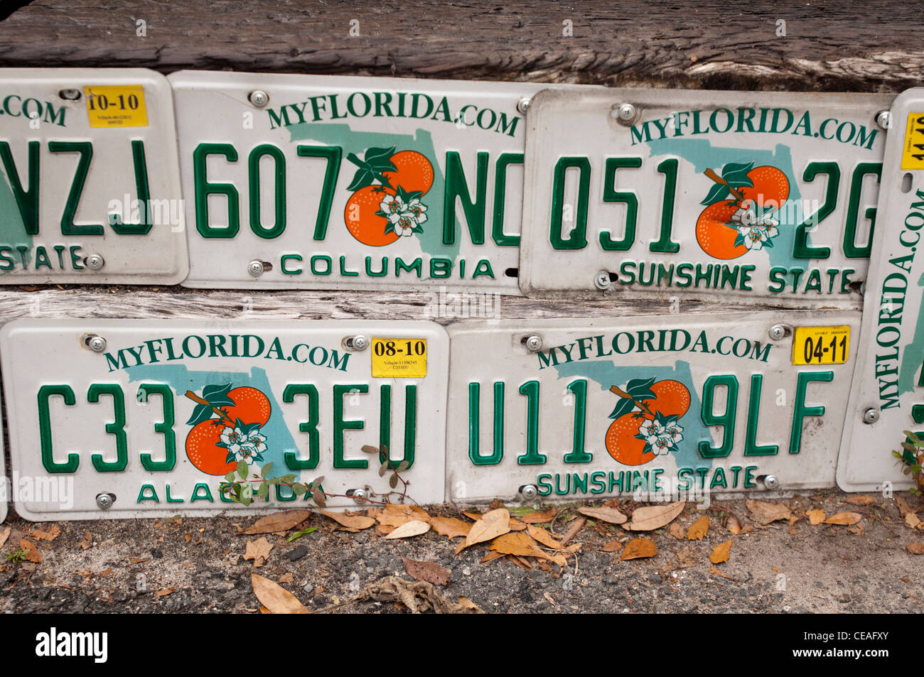 Cinque targhe non utilizzate a Gainesville, Florida, con grafica arancione, sfondo bianco e testo verde, inclusi Alachua e Columbia. Foto Stock