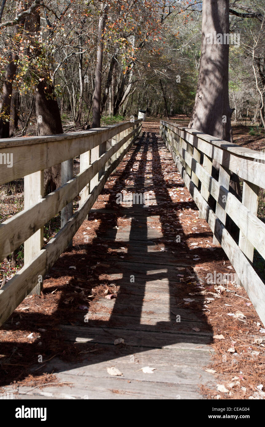 Piattaforma di legno che consente ai visitatori di raggiungere un fiume mainstream durante l'alluvione, Ichetucknee river, Florida, Stati Uniti, STATI UNITI D'AMERICA Foto Stock