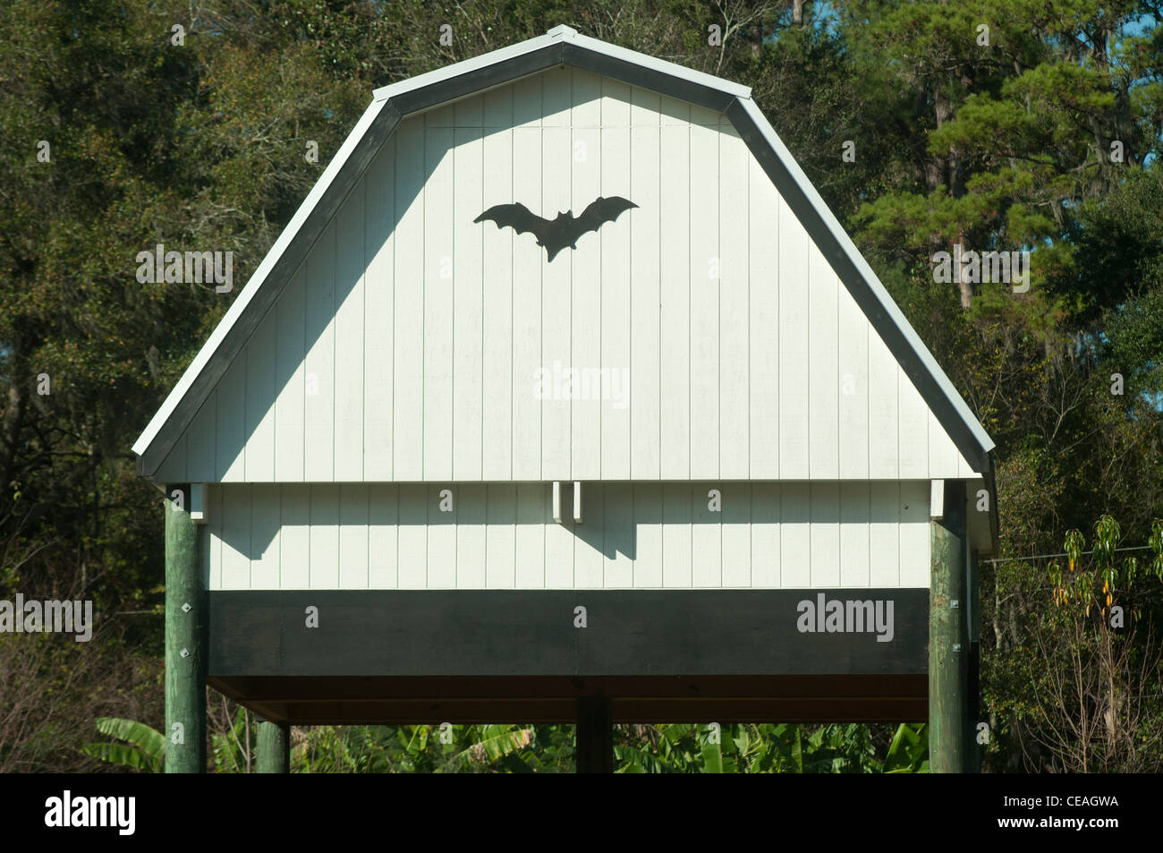 La Bat House, Università di Florida Gainesville, Florida, Stati Uniti, Stati Uniti d'America, America del Nord Foto Stock