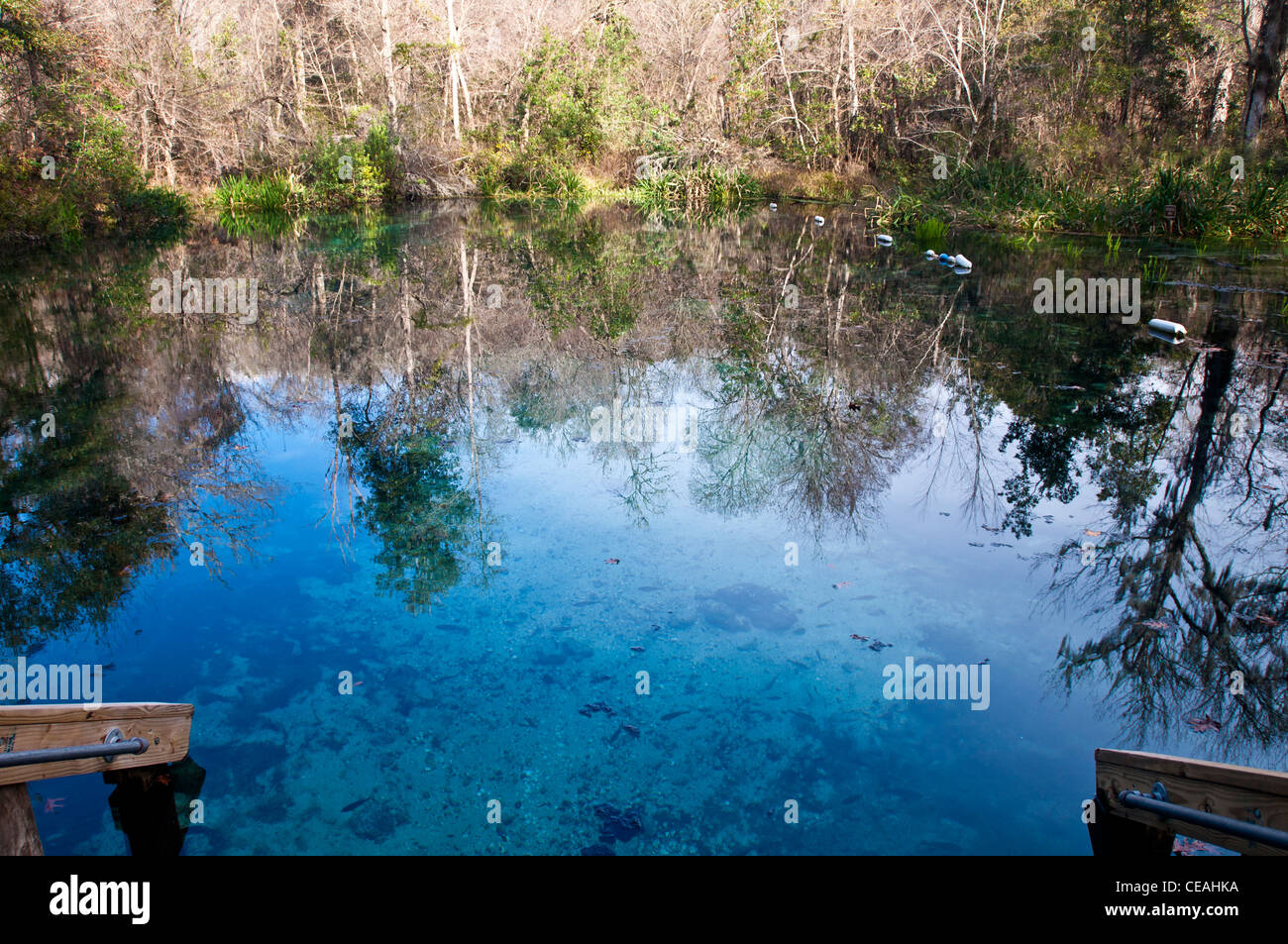 Blue Hole, Ichetucknee Springs State Park, Florida, Nord America, STATI UNITI D'AMERICA Foto Stock