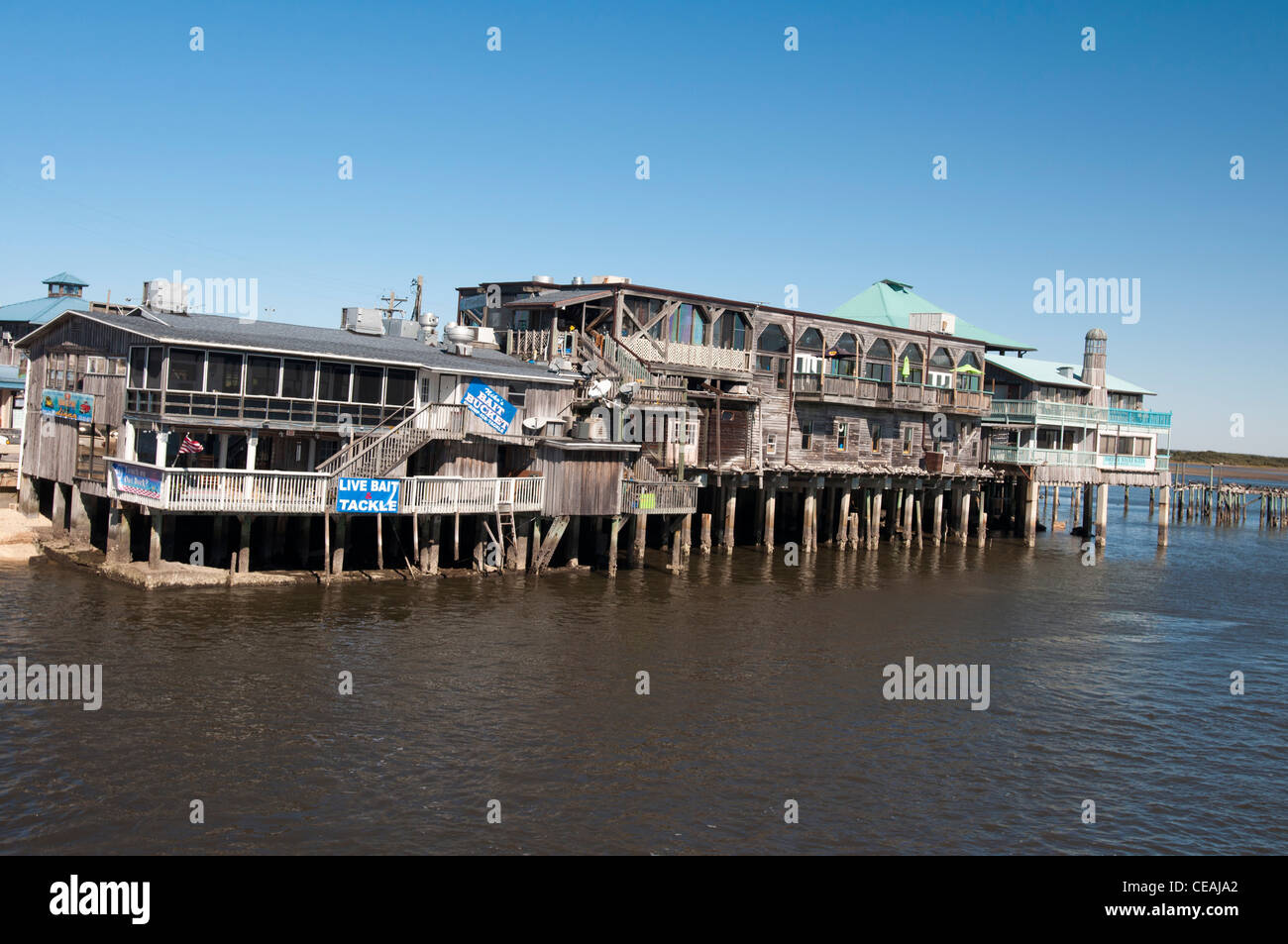 Edifici di fronte mare su palafitte in Cedar Key città turistica, Golfo del Messico, Florida, Stati Uniti, STATI UNITI D'AMERICA Foto Stock