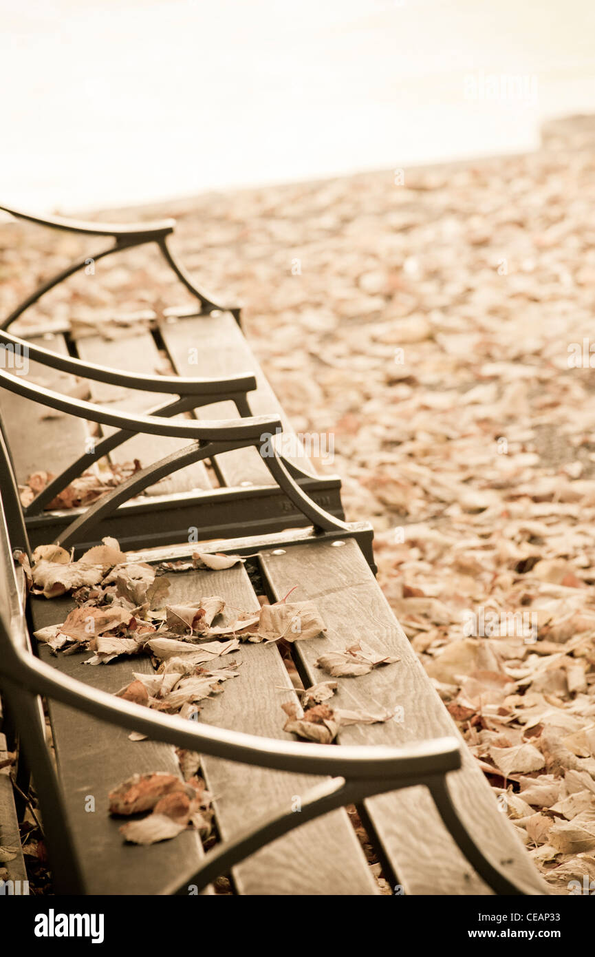 Banchi vuoti e foglie di autunno Foto Stock