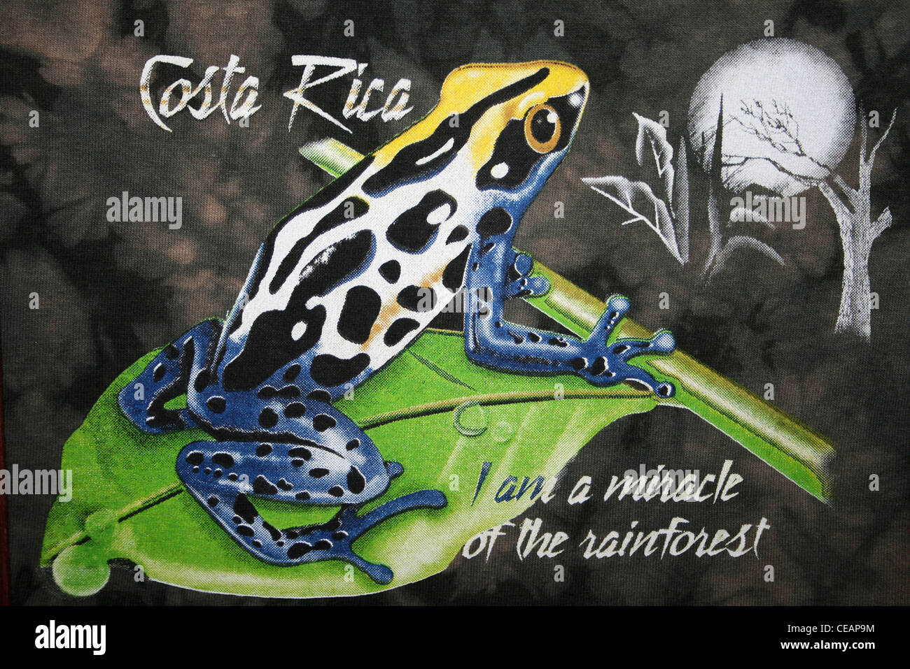 Poison Dart Frog T-Shirt Design Foto Stock