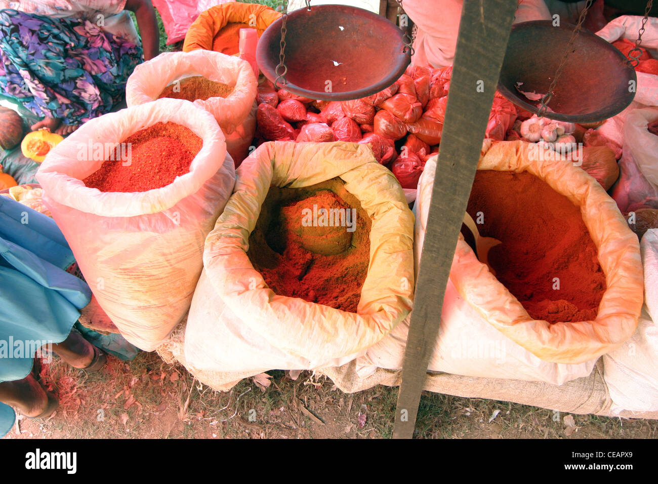 Sacchi di varie spezie usate in Sri Lanka la cottura in vendita al mercato, Hikkaduwa, Sri Lanka Foto Stock