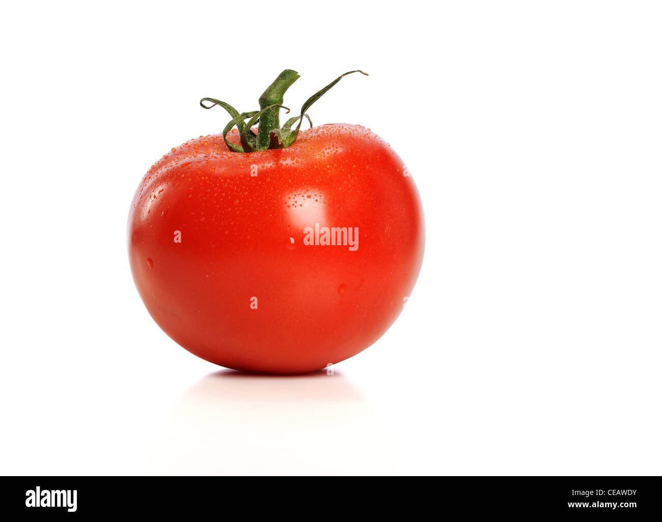 Pomodoro rosso con gocce d'acqua isolate su uno sfondo bianco Foto Stock