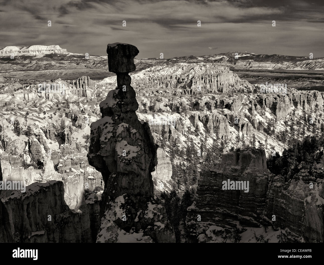 Thors Martello con la neve. Parco Nazionale di Bryce Canyon, Utah Foto Stock