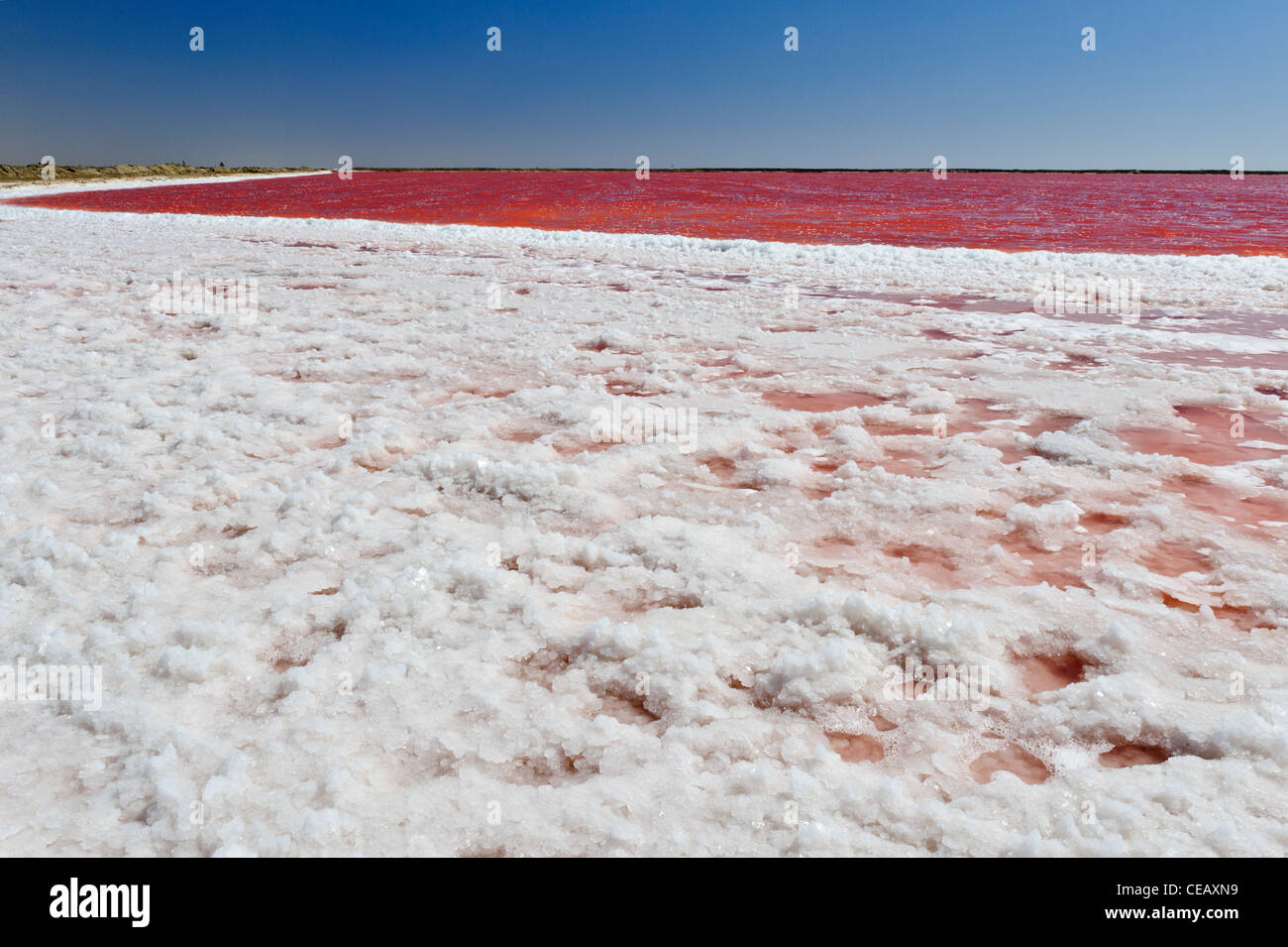 Colori bianco e rosso, in una salina vicino a Walvis Bay, Namibia Foto Stock