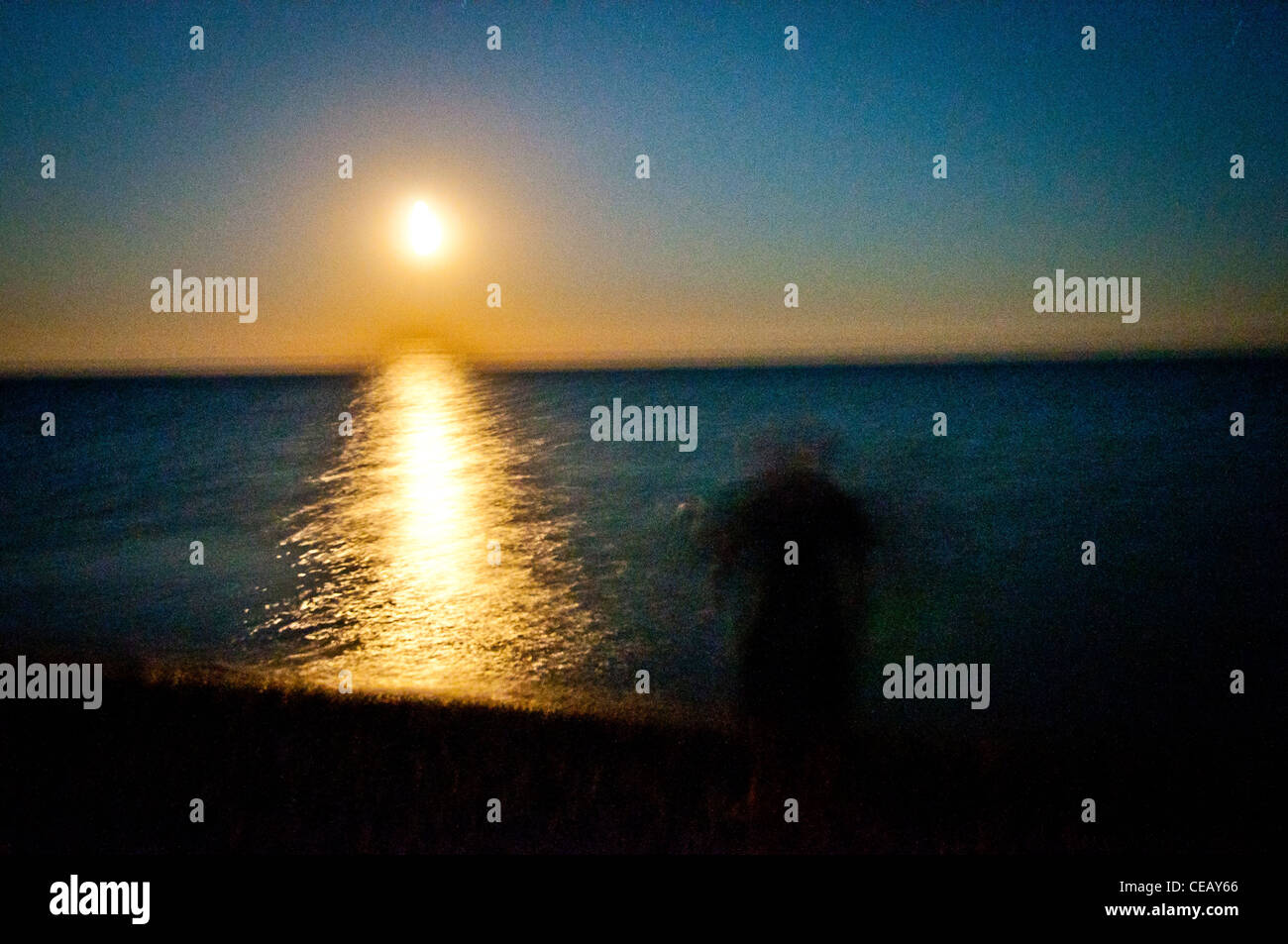 Sfocata figura su una spiaggia al chiaro di luna Foto Stock