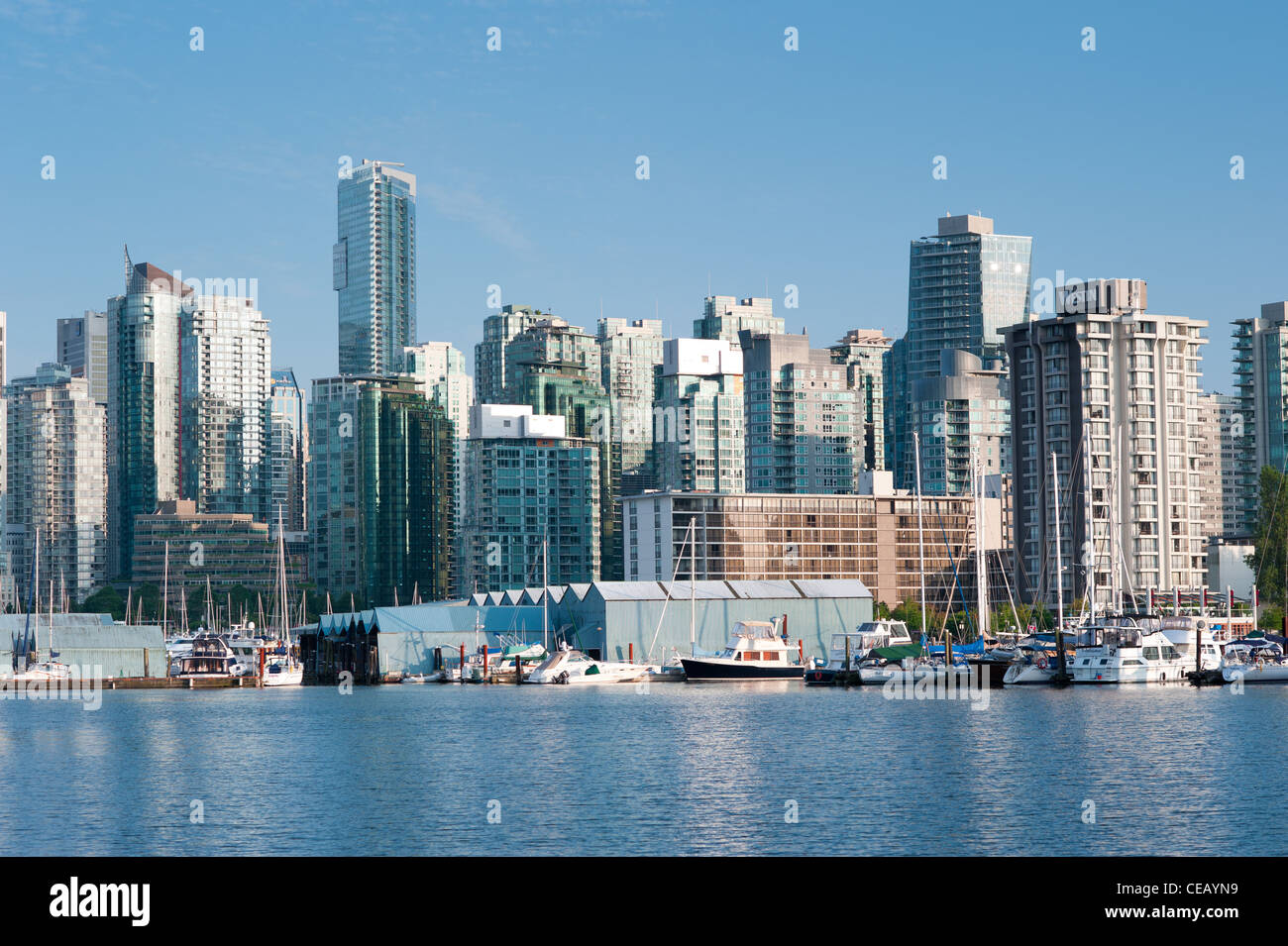 Vancouver Sykline a Waterfront. Vista dal Parco Stanley, città di Vancouver, British Columbia, Canada Foto Stock