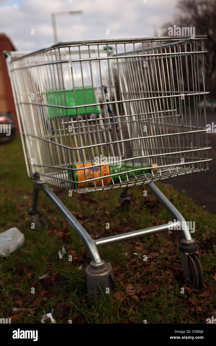 Buckfast Vino tonico glasgow carrello della spesa Foto Stock