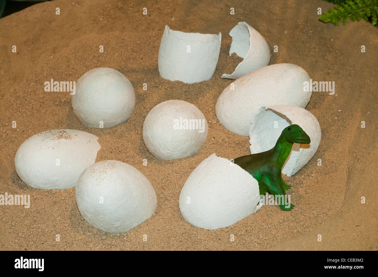 Rappresentazione del museo della nascita dalle uova di dinosauro, Spagna Foto Stock