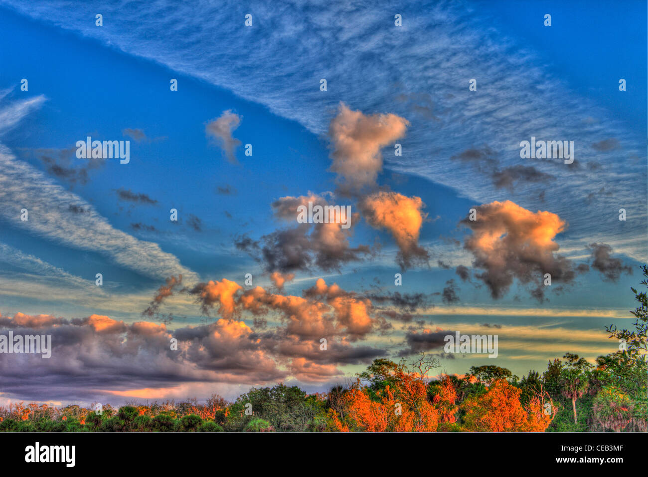 Sera nuvole sopra la palude di acqua salata, Hernando County, Florida Foto Stock