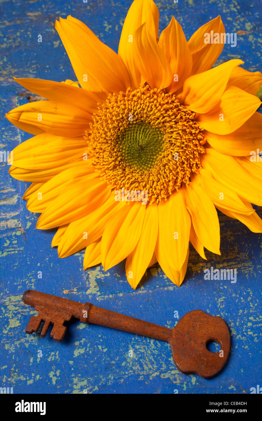 Semi di girasole e lo scheletro di chiave sul vecchio blu tavolo in legno Foto Stock