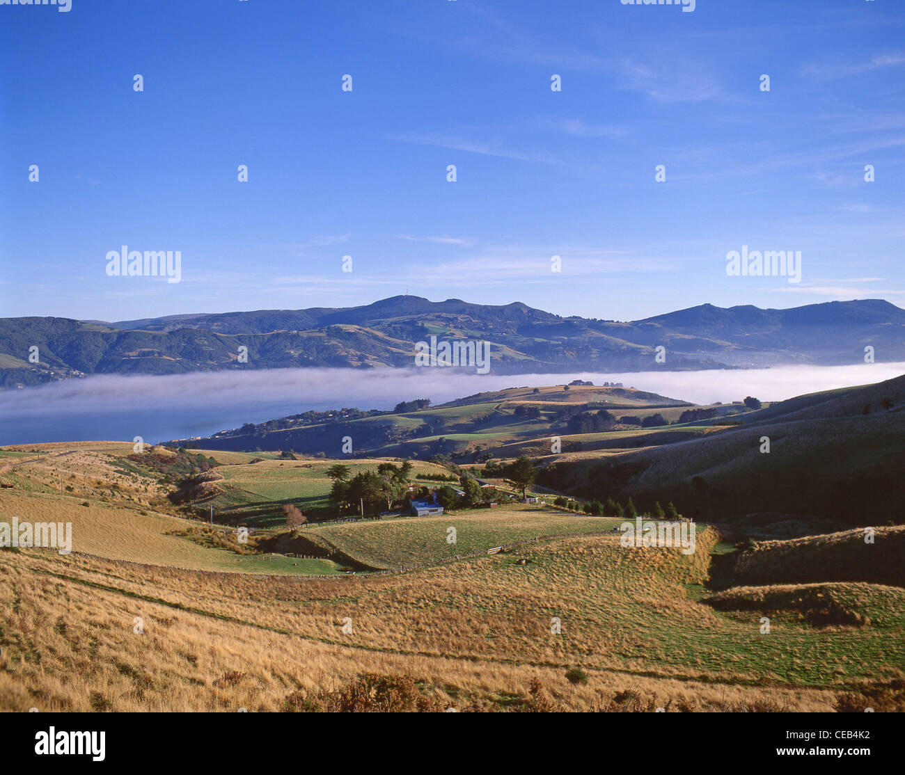 Paesaggio rurale sulla penisola di Otago, Dunedin, Regione di Otago, Isola del Sud, Nuova Zelanda Foto Stock