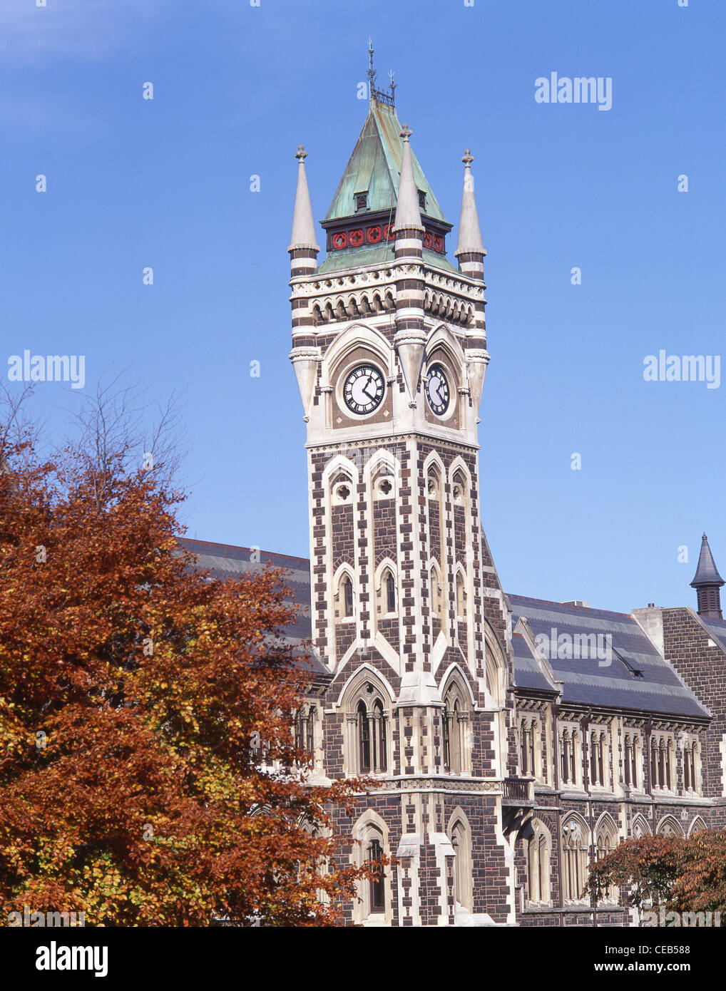 Università Clocktower, università di Otago, Dunedin, Regione di Otago, Isola del Sud, Nuova Zelanda Foto Stock