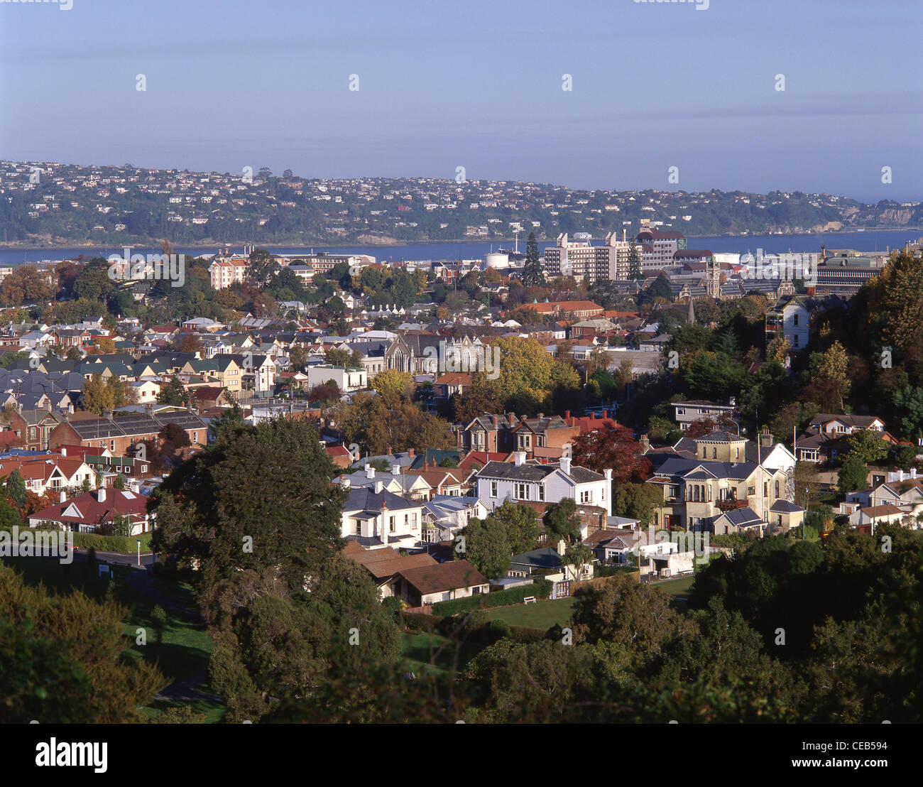 Vista della città dalla collina di pino, Dunedin, Regione di Otago, Isola del Sud, Nuova Zelanda Foto Stock