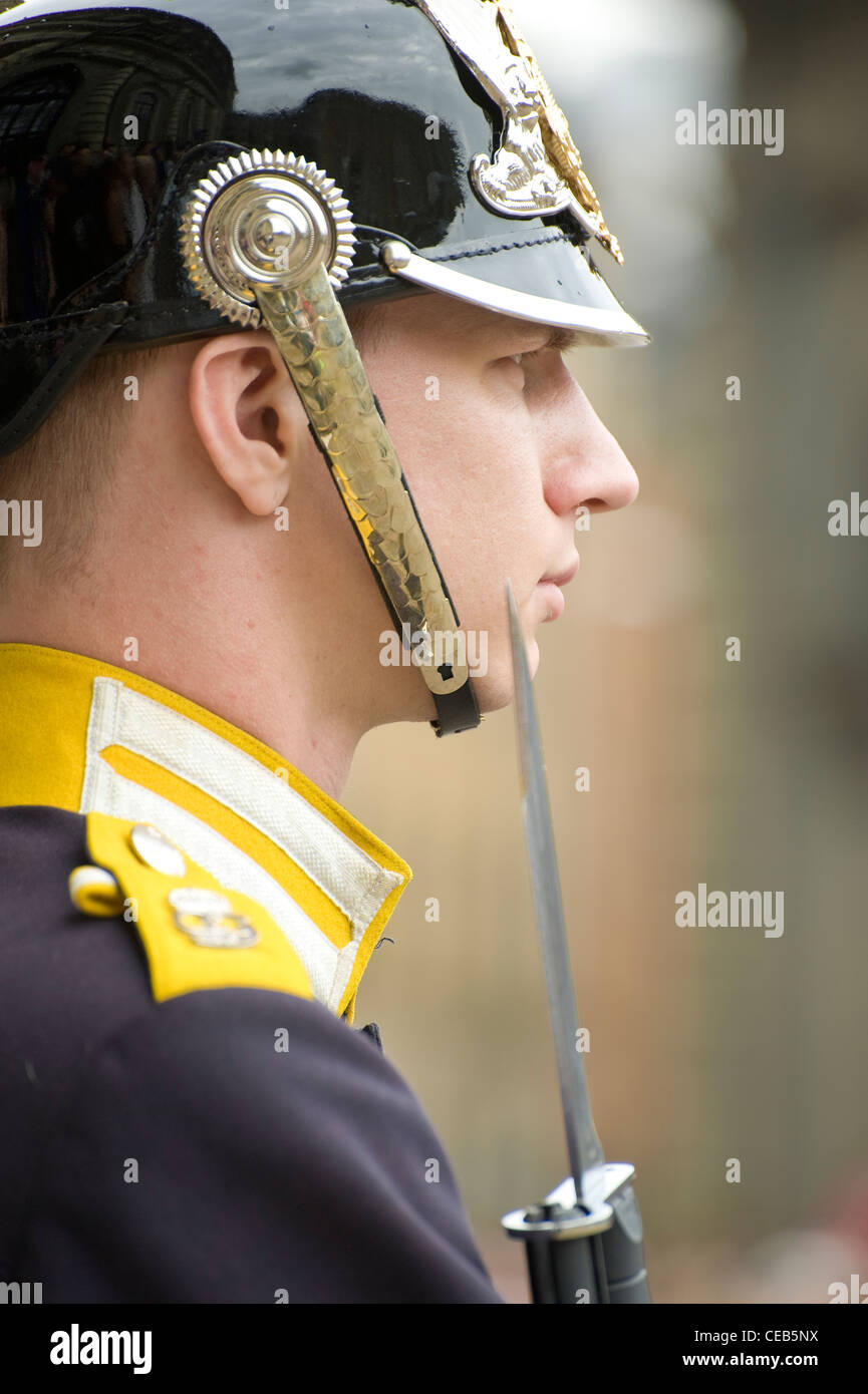 Swedish Royal Guard Foto Stock