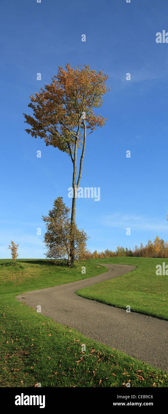 strada del carrello di golf Foto Stock