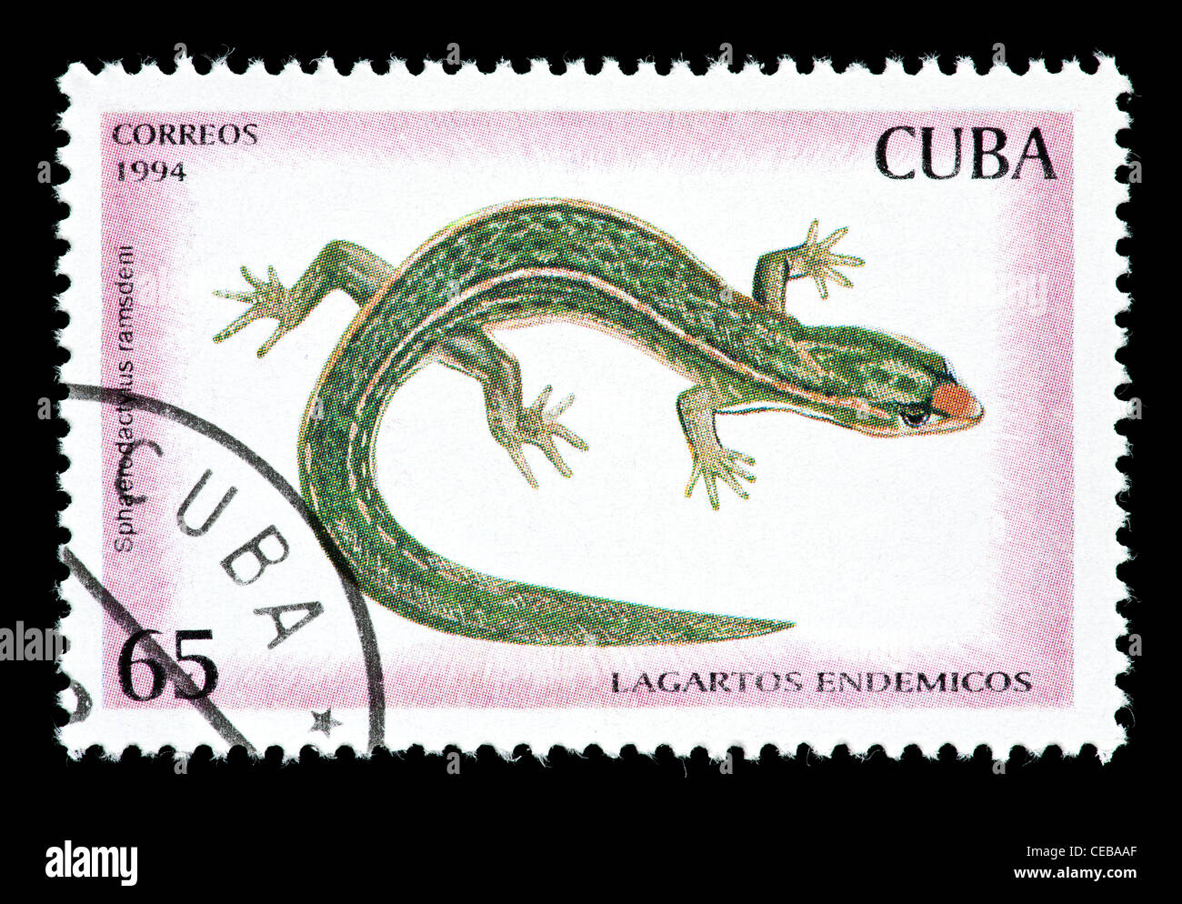 Francobollo da Cuba raffiguranti Ramsden's almeno Gecko (Sphaerodactylus ramsdeni) Foto Stock