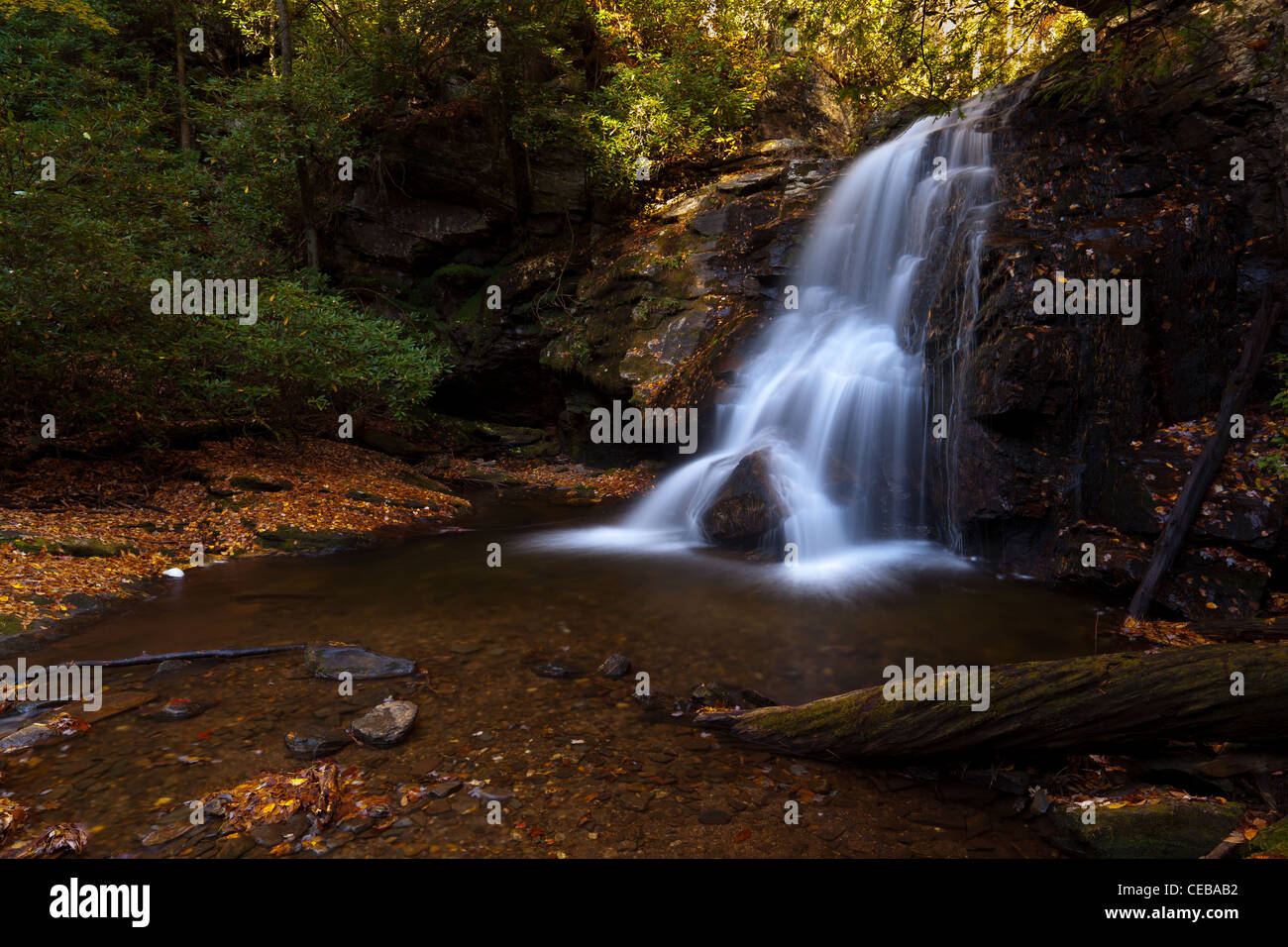 Questa cascata si trova sulla scogliera di Raven Falls trail in bianco County Georgia appena a nord di Helen. Ho battezzo 'Maidenhair cade' in quanto non hanno un altro nome per la mia conoscenza e la ricerca. Essi sono un po' difficile da raggiungere fuori dal lato della scogliera Raven cade percorsi circa 1 Foto Stock