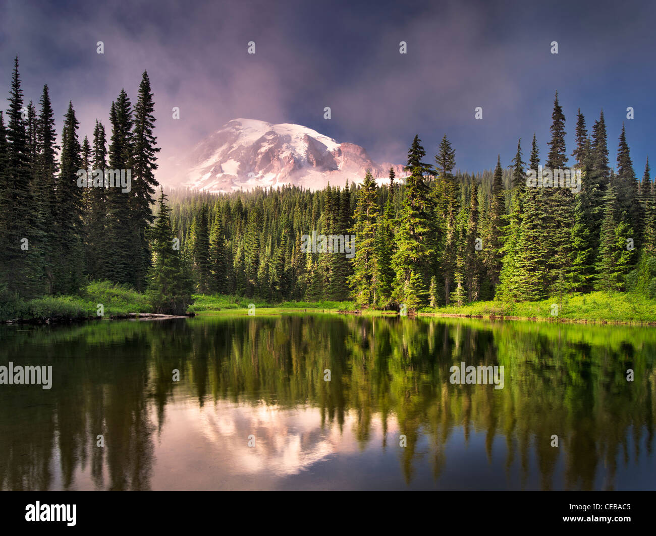 La riflessione sul lago con velatura su Mt. Rainier. Mt. Rainier National Park, Washington Foto Stock