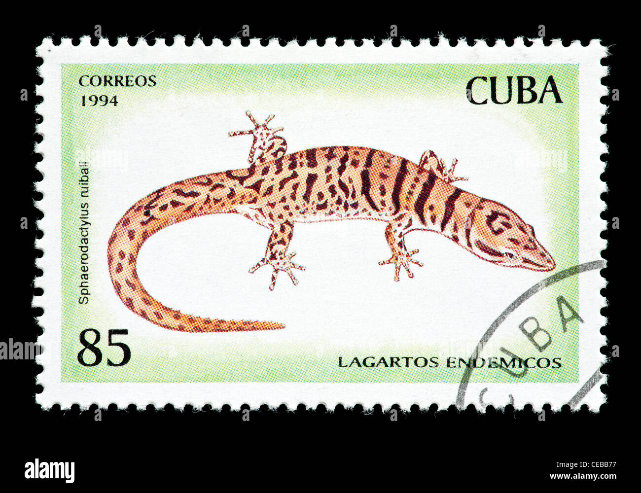 Francobollo da Cuba raffigurante un Ruibal's almeno Gecko (Sphaerodactylus ruibali). Foto Stock