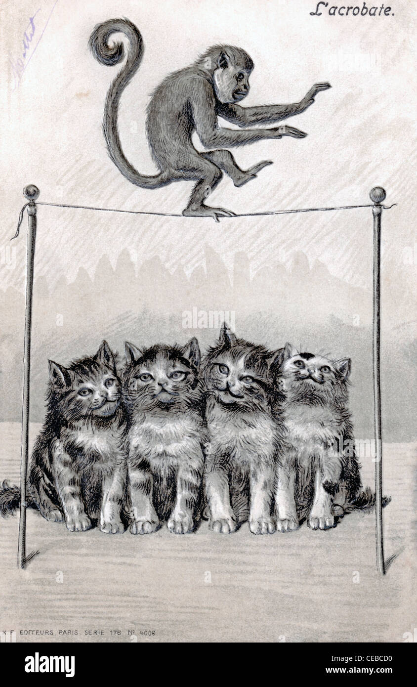 Vintage illustrazione di una scimmia in equilibrio su una fune con una fila di 4 gattini seduta al di sotto di, 1920. Foto Stock