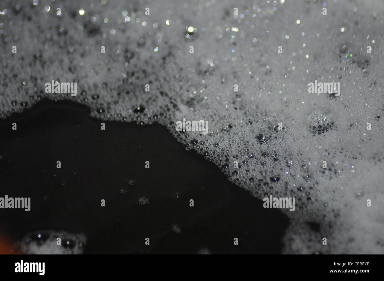 Vergine pura di olio di noce di cocco fresco e raccolti in una canna con la schiuma nella parte superiore Foto Stock