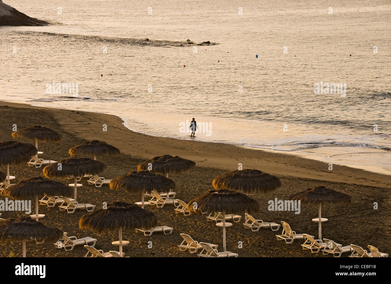Uomo che cammina da solo sulla spiaggia, la mattina presto.Playa del Duque. Costa Adeje, Tenerife, Isole Canarie, Spagna, Europa. Foto Stock