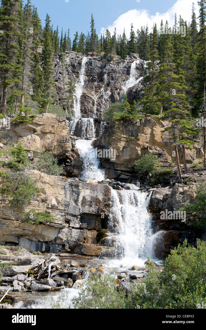Scenic groviglio Falls, una forza di attrazione sulla Icefields Parkway, Alberta, Canada. Foto Stock
