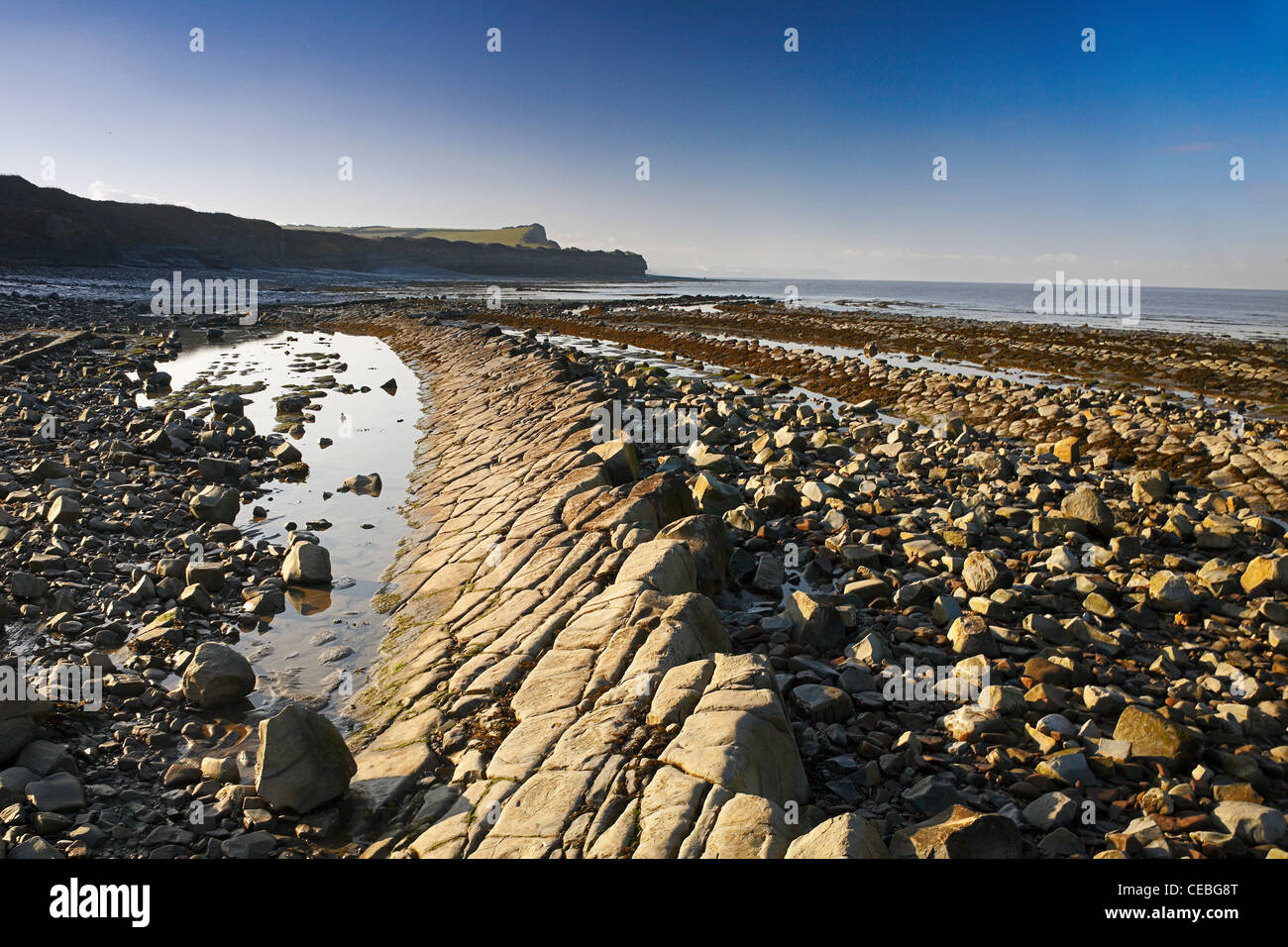 Drammatica lias blu strati di roccia sulla spiaggia a Kilve sul Canale di Bristol, Somerset, Inghilterra, Regno Unito Foto Stock