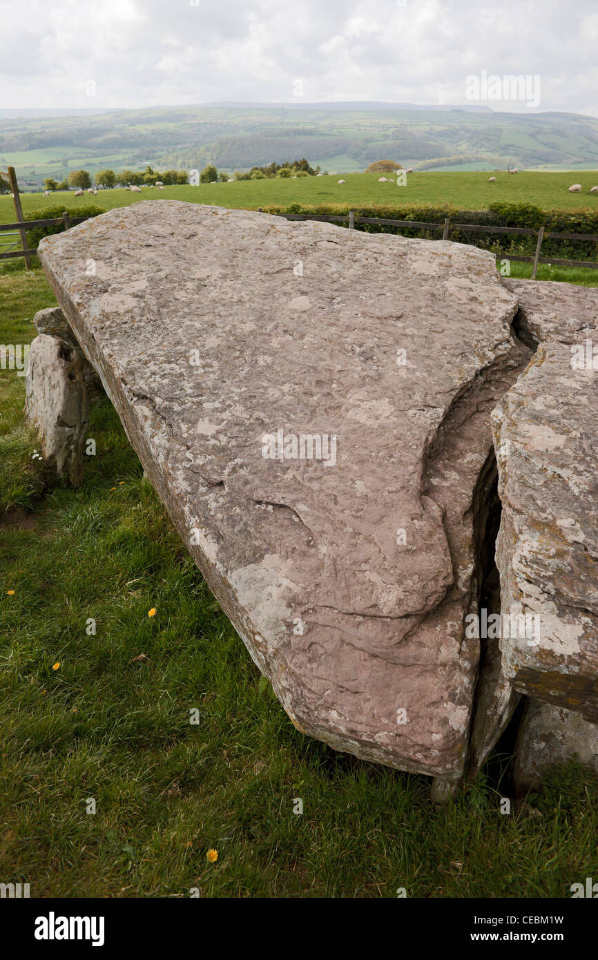 Arthur la pietra del neolitico camera di sepoltura vicino Dorstone/Brewardine Herefordshire Foto Stock