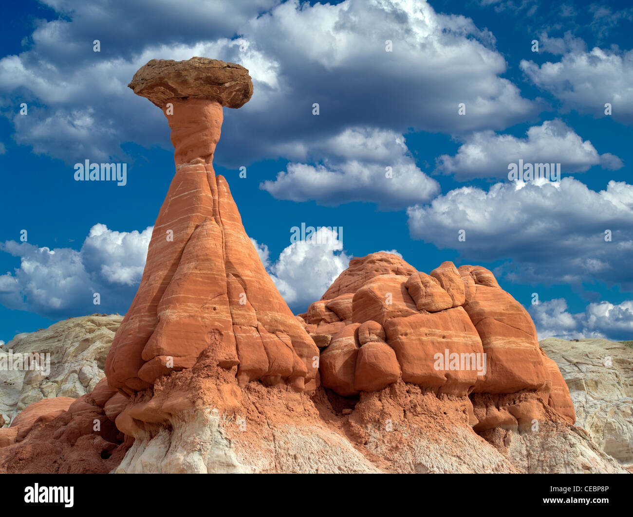 Hodoos a Toadstool la formazione nella scala di Escalante National Monument, Utah Foto Stock