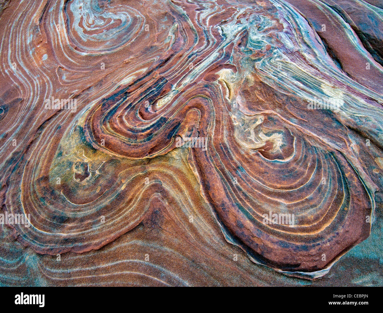 Formazione Sandtone in Nord Coyote Buttes, l'onda. Paria Canyon Vermillion Cliffs Wilderness. Utah e Arizona Foto Stock