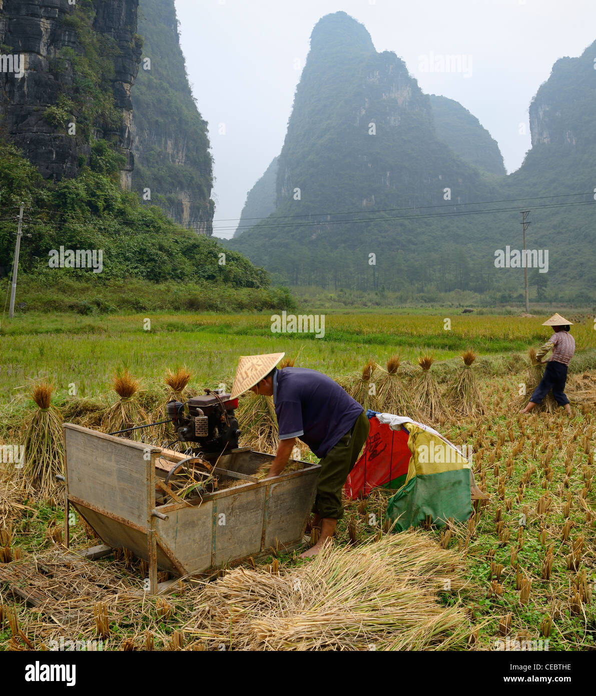 Gli agricoltori bundling paglia e la mietitura del riso con ambiente carsico picchi in prossimità yangshuo repubblica popolare cinese Foto Stock